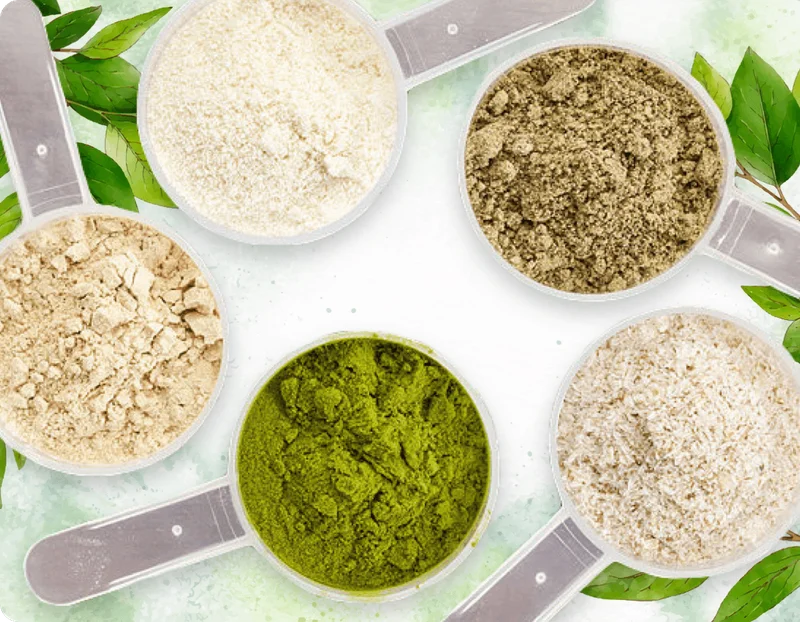 Ingredientes em pó do blend de plantas e minerais
